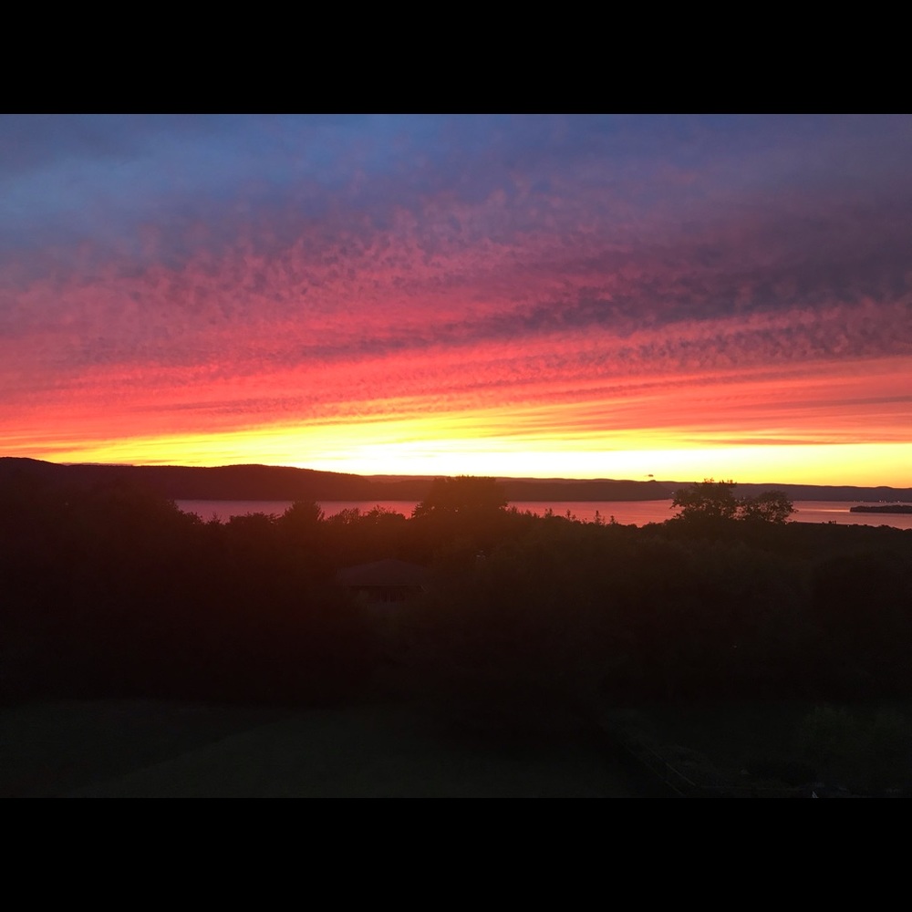 Meet your Posher, Lynn